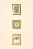 Buy Les Fleurs d'Amour VI at AllPosters.com