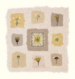 Buy Meadow Flowers III at AllPosters.com