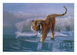 Siberian Tiger