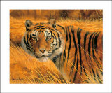 Buy Savannah Alert at AllPosters.com