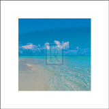 Buy Tropical Skies III at AllPosters.com