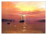 Buy Swans Over Still Waters at AllPosters.com