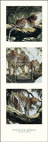 Buy Light and Shade I at AllPosters.com