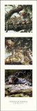 Buy Light and Shade II at AllPosters.com