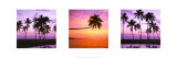 Buy Spice Islands at AllPosters.com