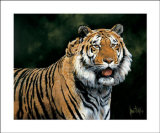 Buy Head for the Shade at AllPosters.com