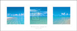 Buy Tropical Skies at AllPosters.com