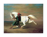 Buy The Pasha's Pride at AllPosters.com