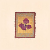 Buy Accents II at AllPosters.com