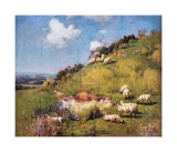 Buy Sheep on a Hillside at AllPosters.com