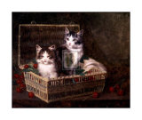 Buy The Pick of the Basket at AllPosters.com