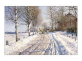 Winter Scene