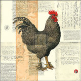 Poulet de Champagne I