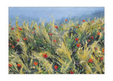 Buy Wind-Blown Poppies at AllPosters.com