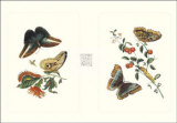 Buy Entomology I at AllPosters.com