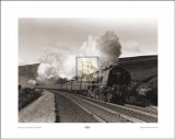 Buy Princess Alice at AllPosters.com