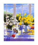 Buy Yellow Daisies at AllPosters.com