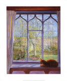 Spring Window