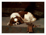 King Charles Spaniel Resting