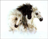 Horses