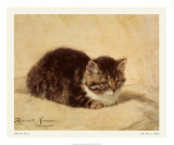 The Parson's Kitten