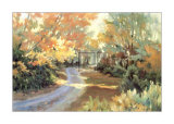 Buy Winding Road at AllPosters.com