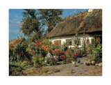 Cottage Garden