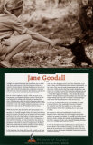 Buy Women of Science - Jane Goodall at AllPosters.com
