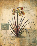 Buy English Garden II at AllPosters.com