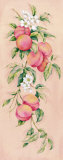 Apricots