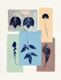 Leaf No. 101