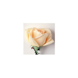 Buy Pale Rose at AllPosters.com