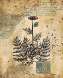 Buy English Garden I at AllPosters.com