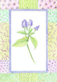 Patchwork Botanical II