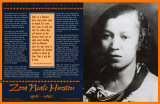 Buy Voices of Diversity - Zora Neale Hurston at AllPosters.com