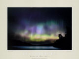 Aurora Bori