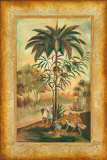 Paradisimo II