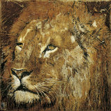 Buy Lion Portrait at AllPosters.com