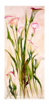Buy Lilies at AllPosters.com