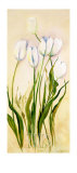 Buy Tulips at AllPosters.com