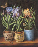 Buy Pots with Narcissus at AllPosters.com