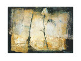 Buy No Rose Without Thorn at AllPosters.com