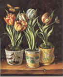 Buy Pots with Tulips at AllPosters.com