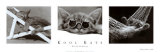 Kool Kats