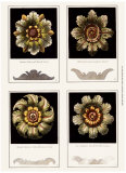 Buy Rosettes at AllPosters.com