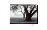 Buy Strength and Beauty at AllPosters.com