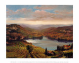 Vineyard View I Art Print