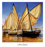 White Sails II
