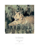 Heart of the Jungle IV