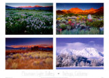 Buy Four Seasons at AllPosters.com